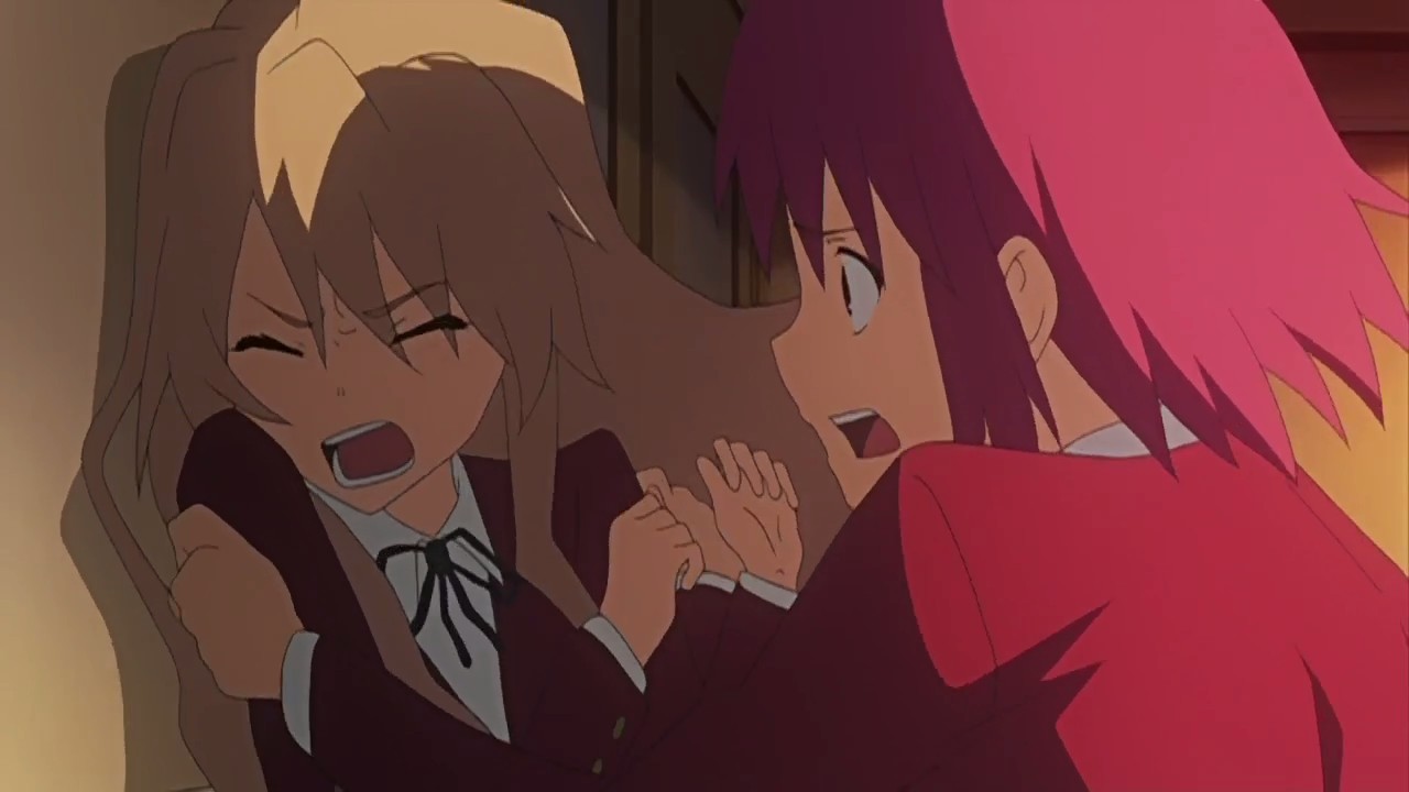 Something Bugs Me About The Intervention In Toradora We